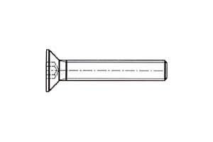 Parolin 950 Caster Screw 4x8